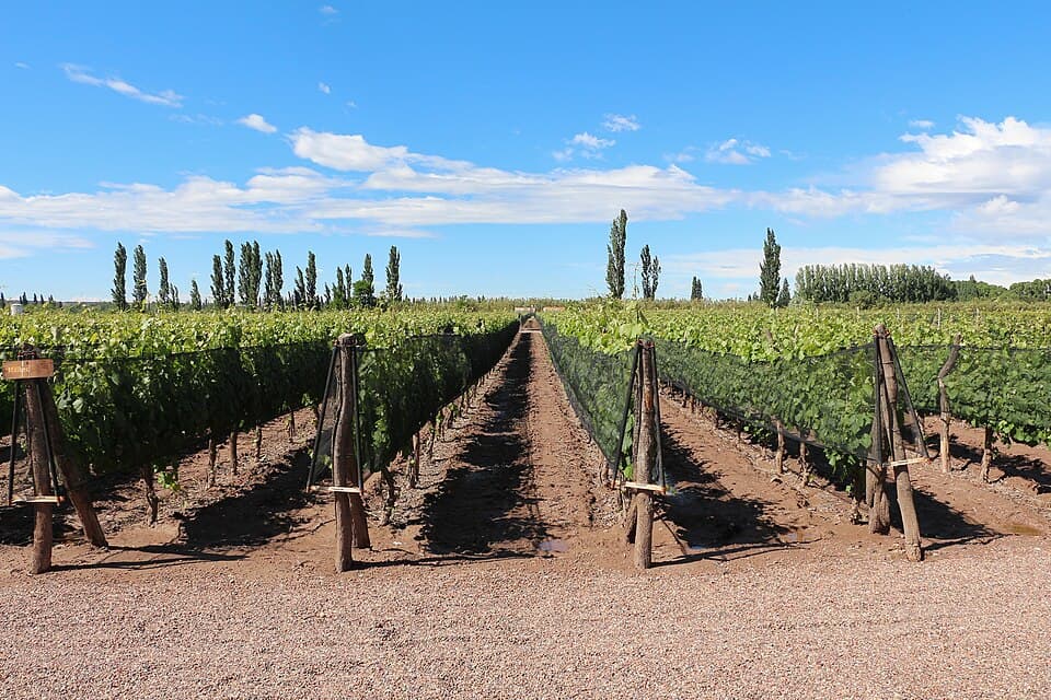 Bodega en Mendoza